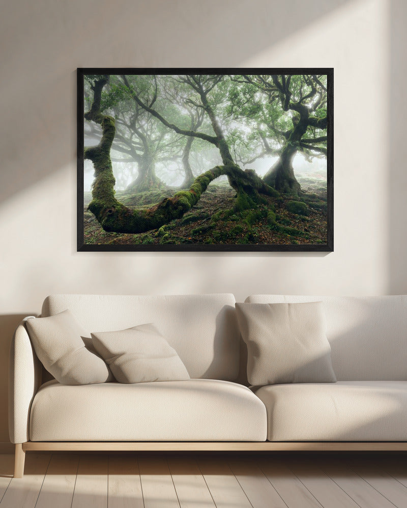 Mystiek Laurierbos | Canvas