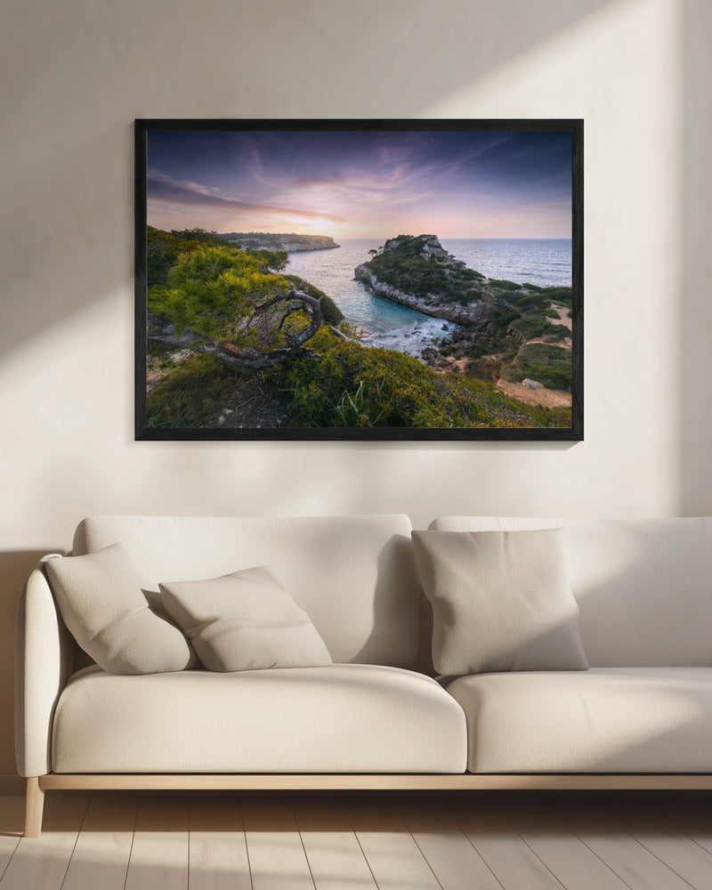 Baydreams | Canvas