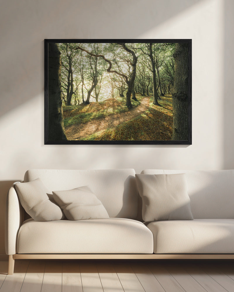 Magisch beukenhout | Canvas