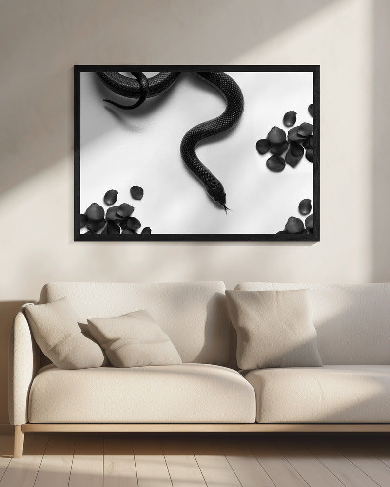 Zwarte slang zwerft | Canvas