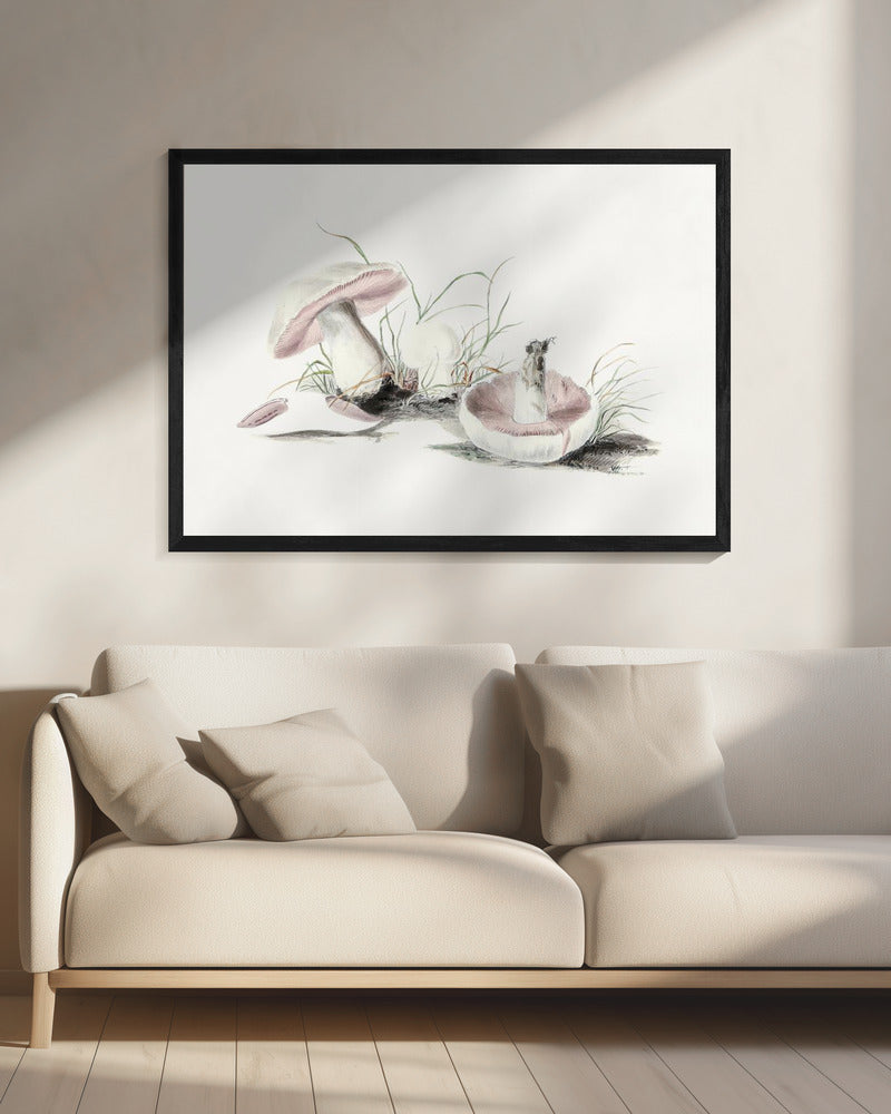 Handgetekende veldpaddestoel | Canvas