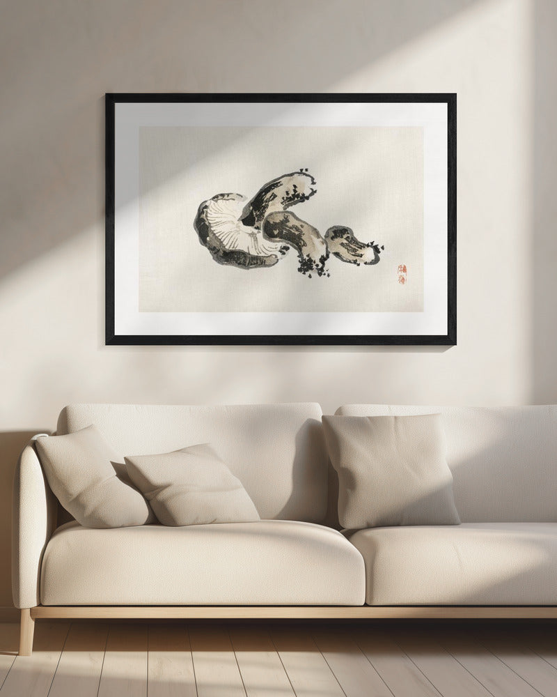 Shiitake-paddenstoel | Canvas