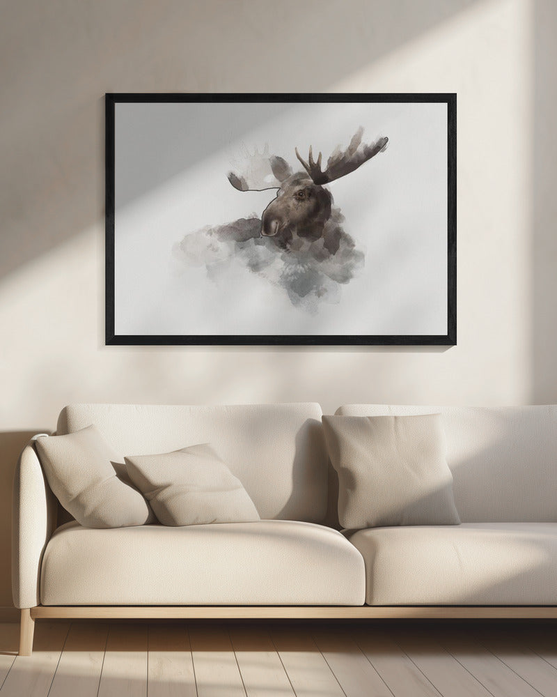 Eland | Canvas
