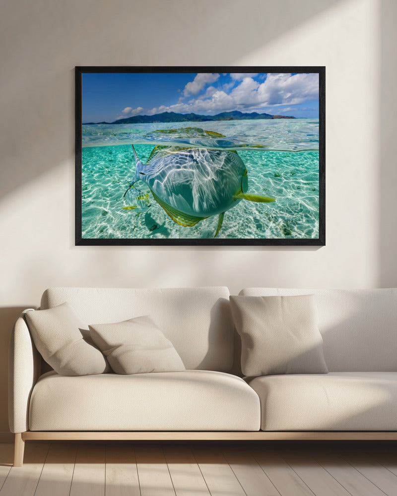Zwembad | Canvas