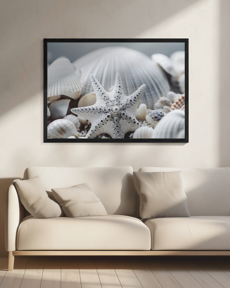 Schelpensymfonie | Canvas