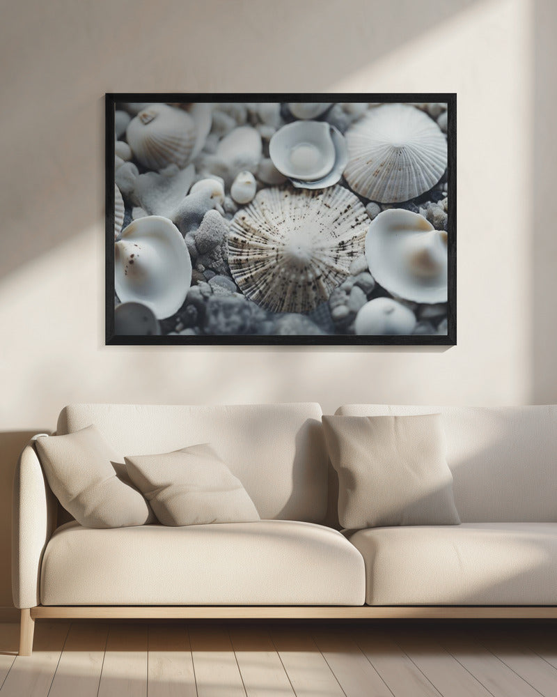 Schelpensymfonie | Canvas