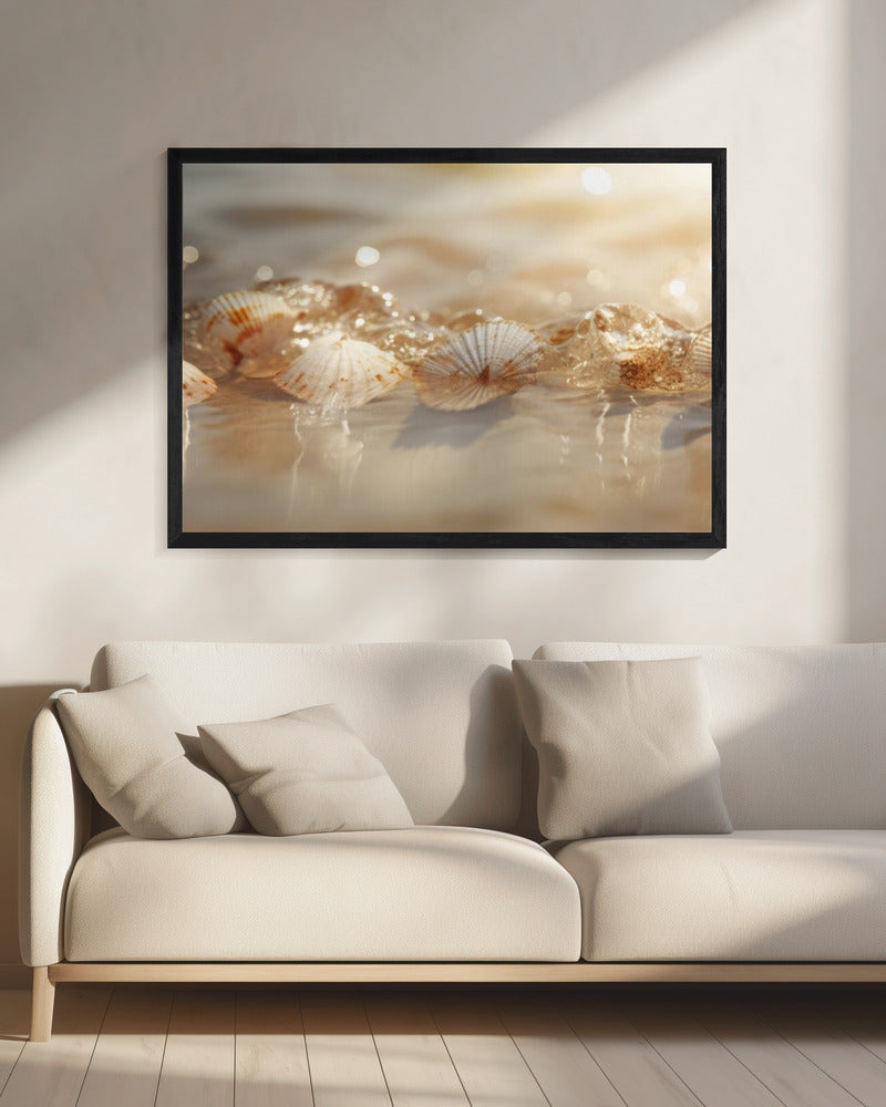 Schelpenserenade | Canvas