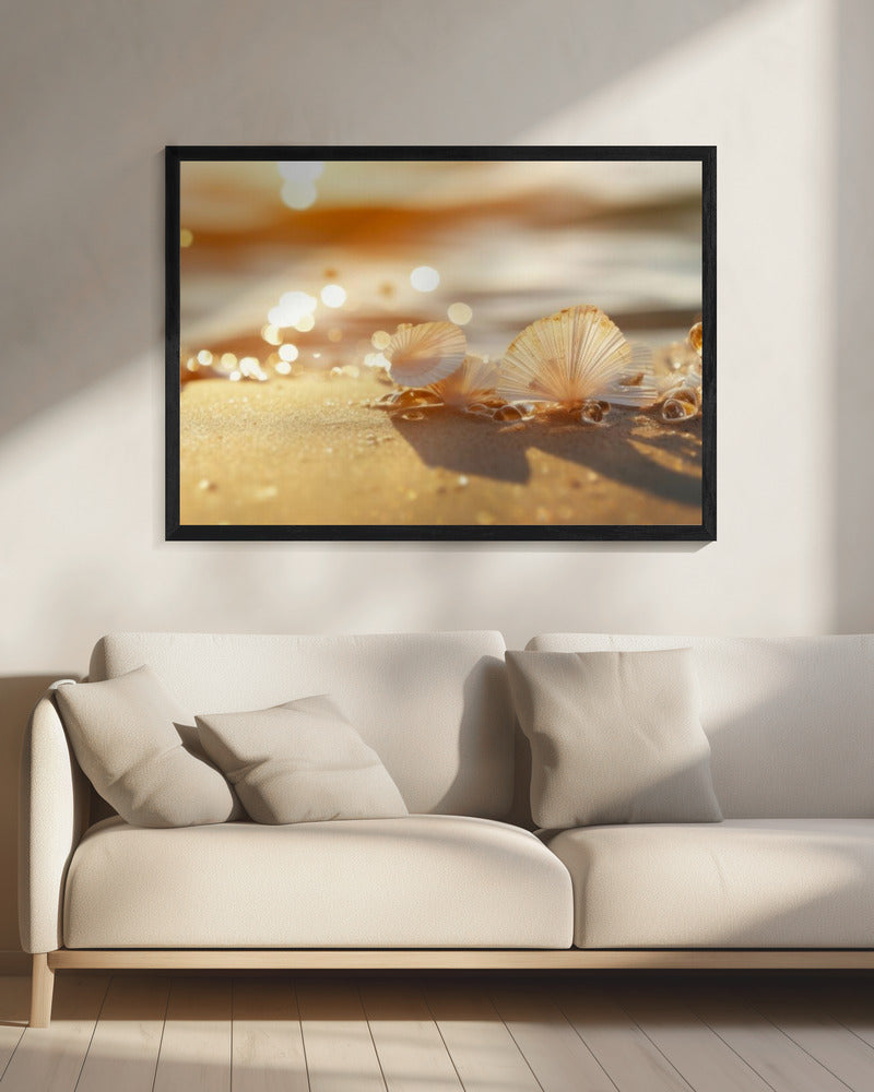 Zonovergoten schelpen | Canvas