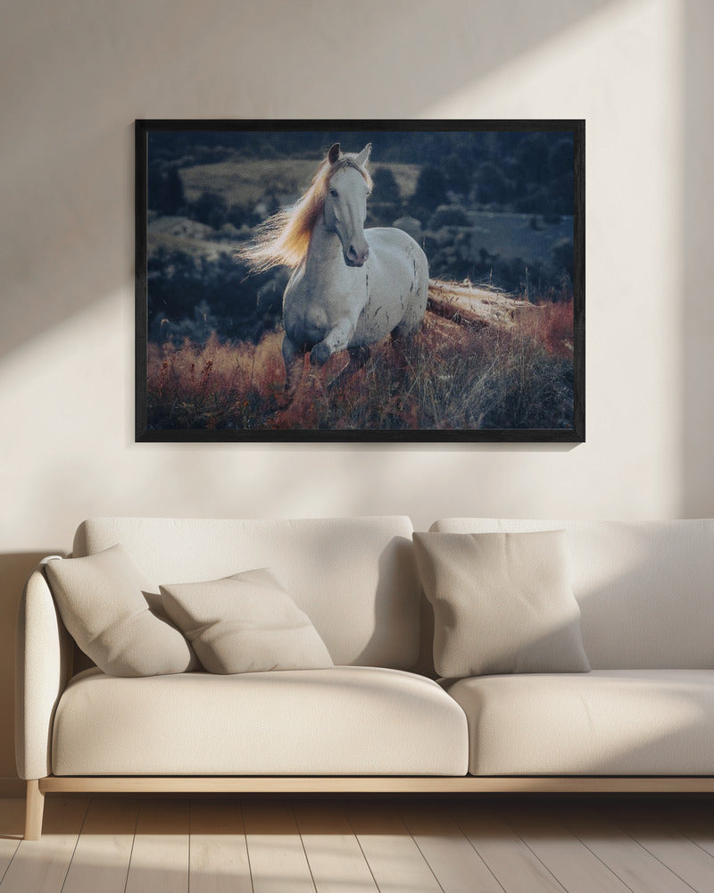 een kort verhaal over zonsopgang | Canvas