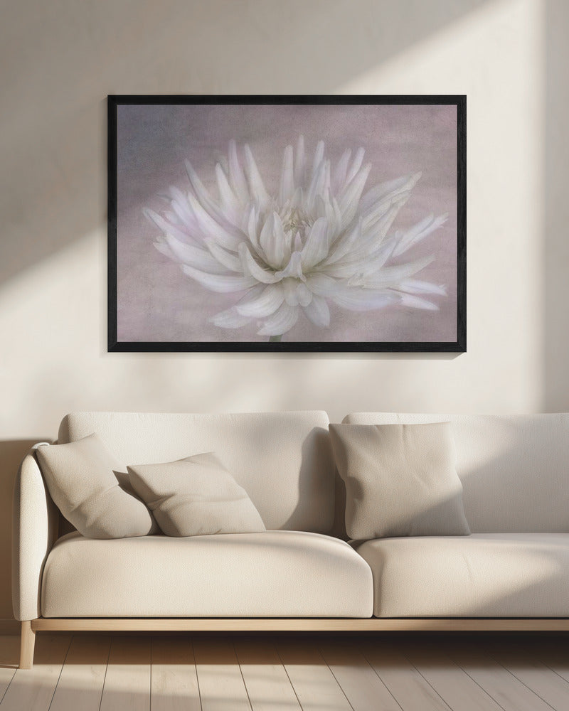 Wit | Canvas