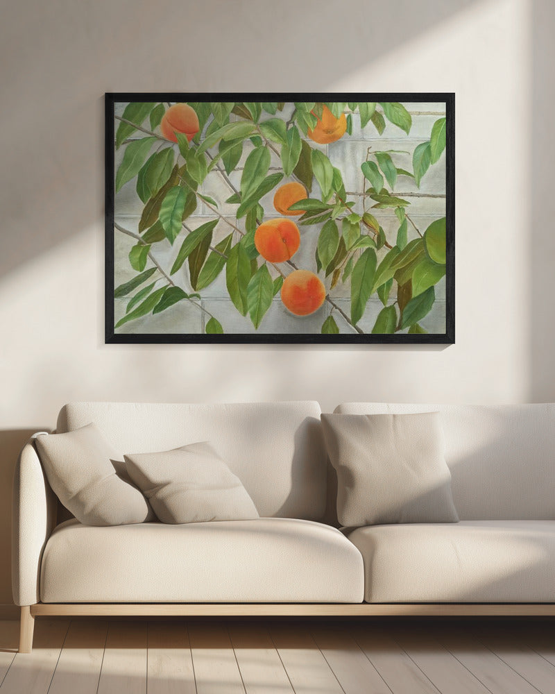 Perziken | Canvas