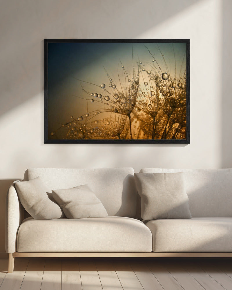 Zacht is de nacht | Canvas