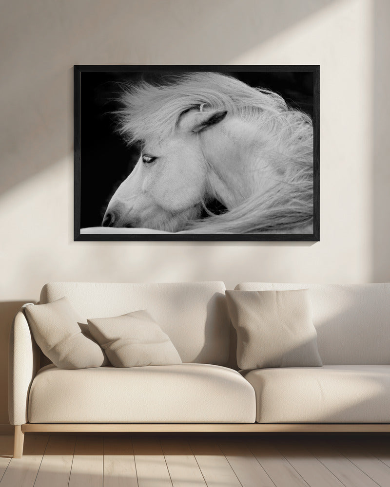 Luister naar de wind | Canvas