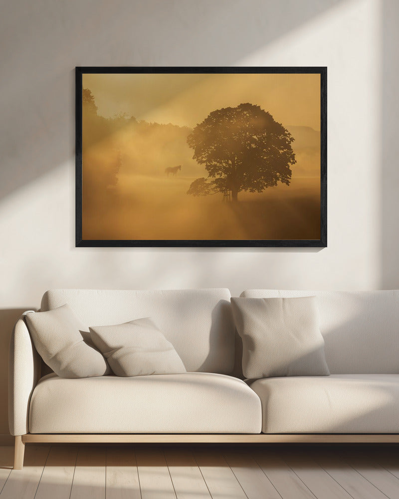 herfstochtend | Canvas