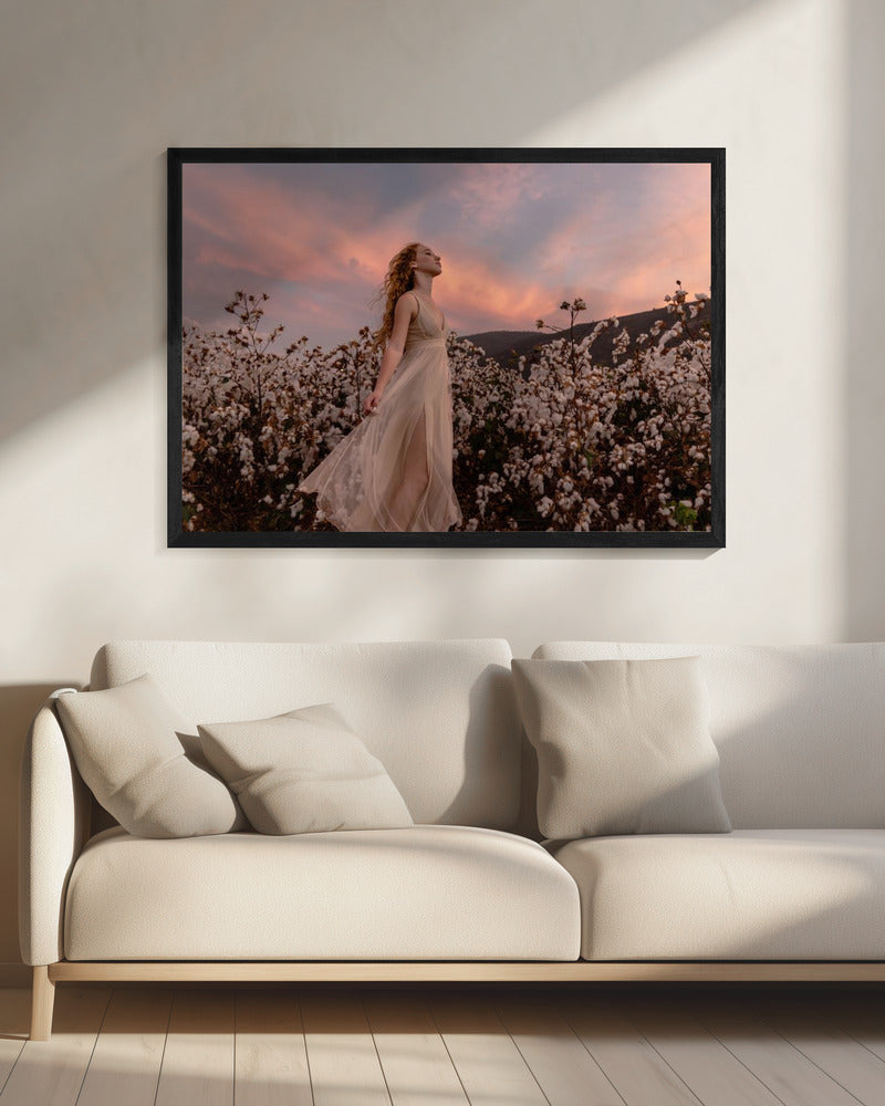 Sunset in the cotton field | Canvas