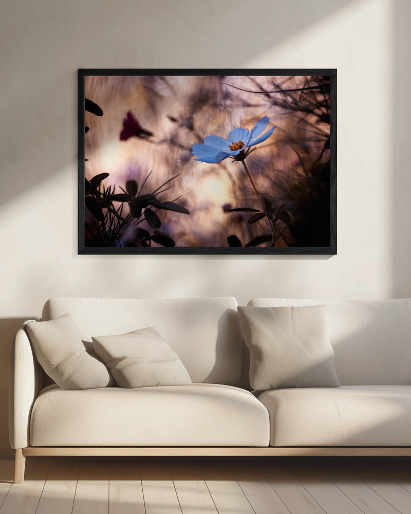 De onverschilligheid | Canvas