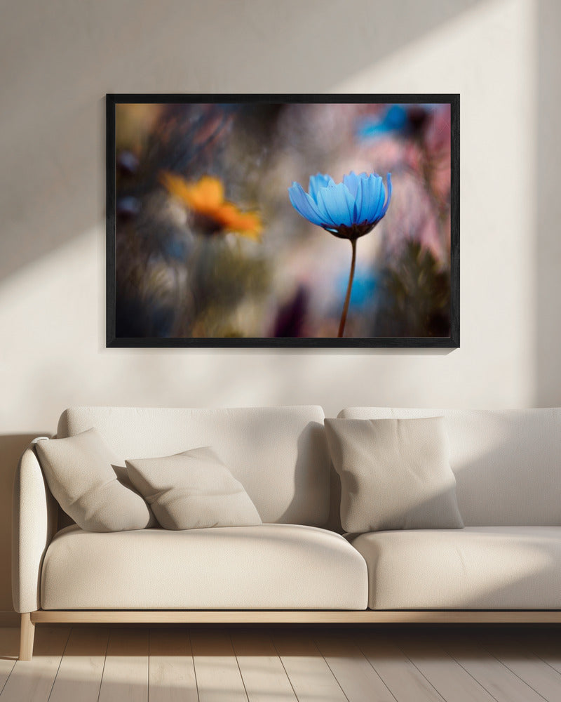 Wil je met mij dansen | Canvas