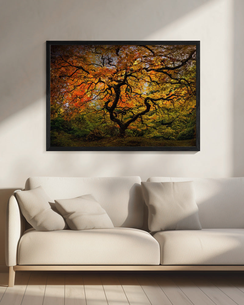 De esdoorn | Canvas