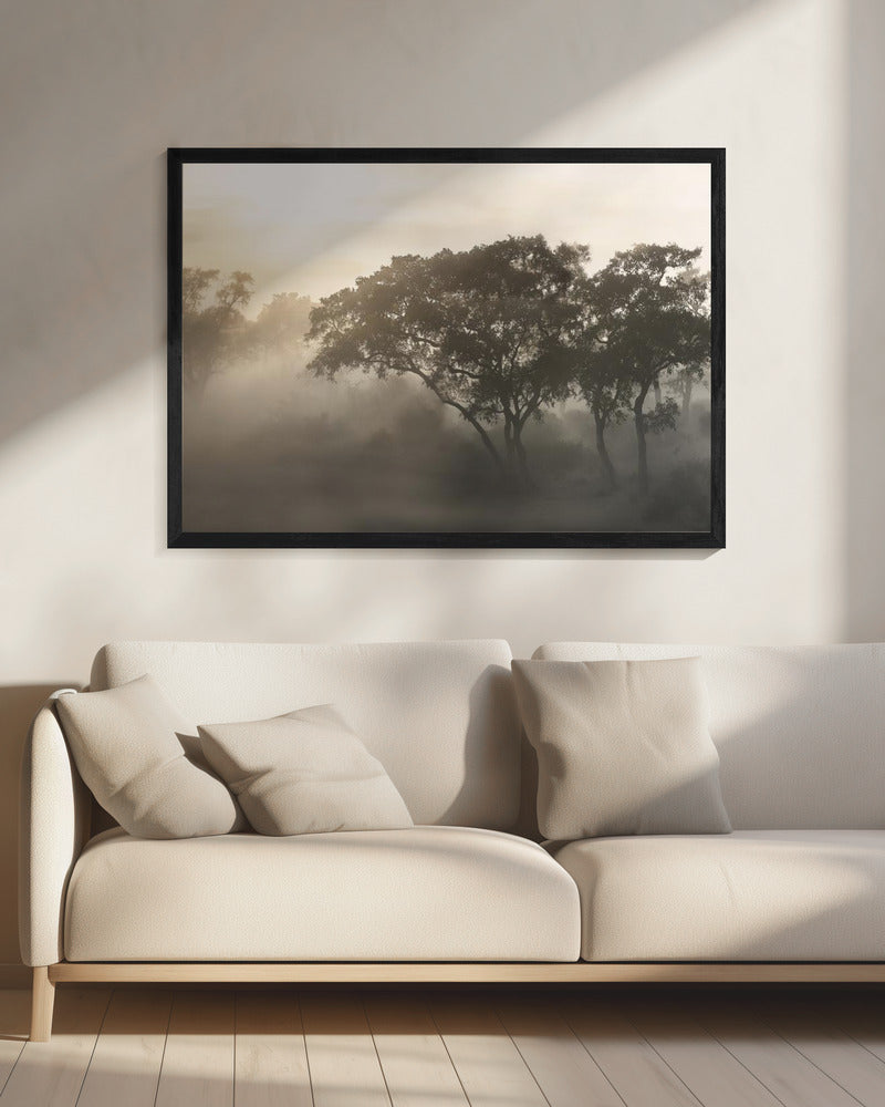 SAVANA ZONSOPGANG | Canvas