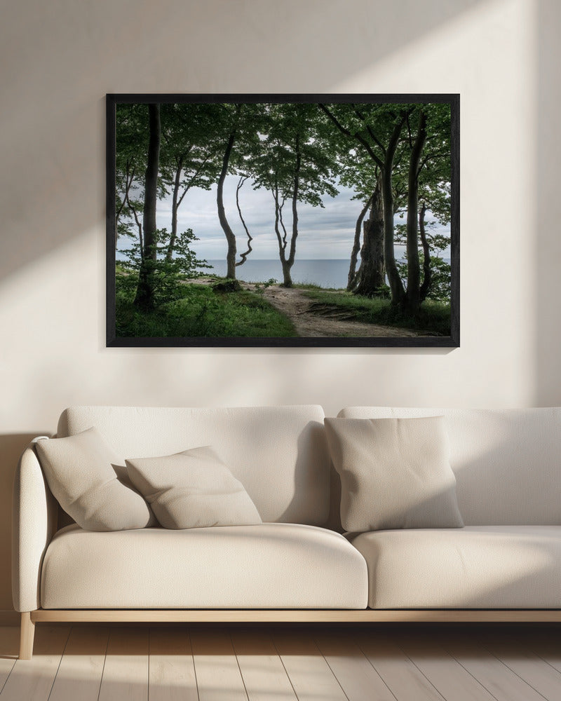 Bos aan zee 2 | Canvas