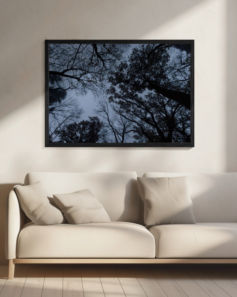 Omhoog kijken 1 | Canvas