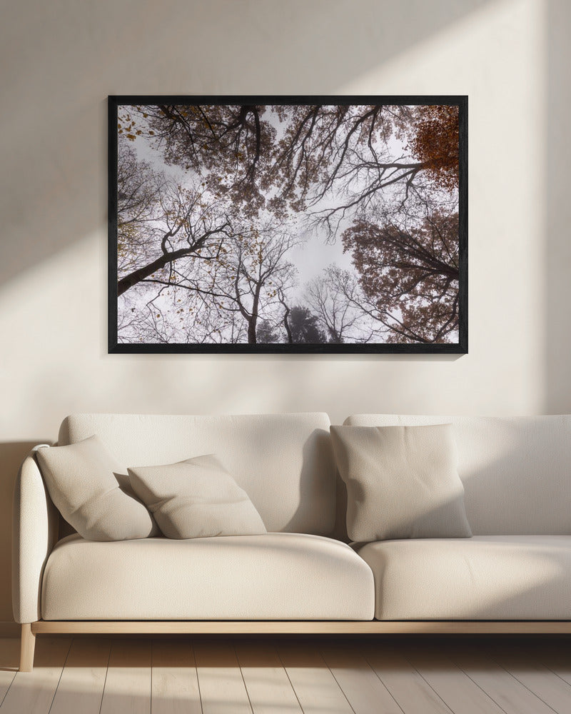 Omhoog kijken 2 | Canvas