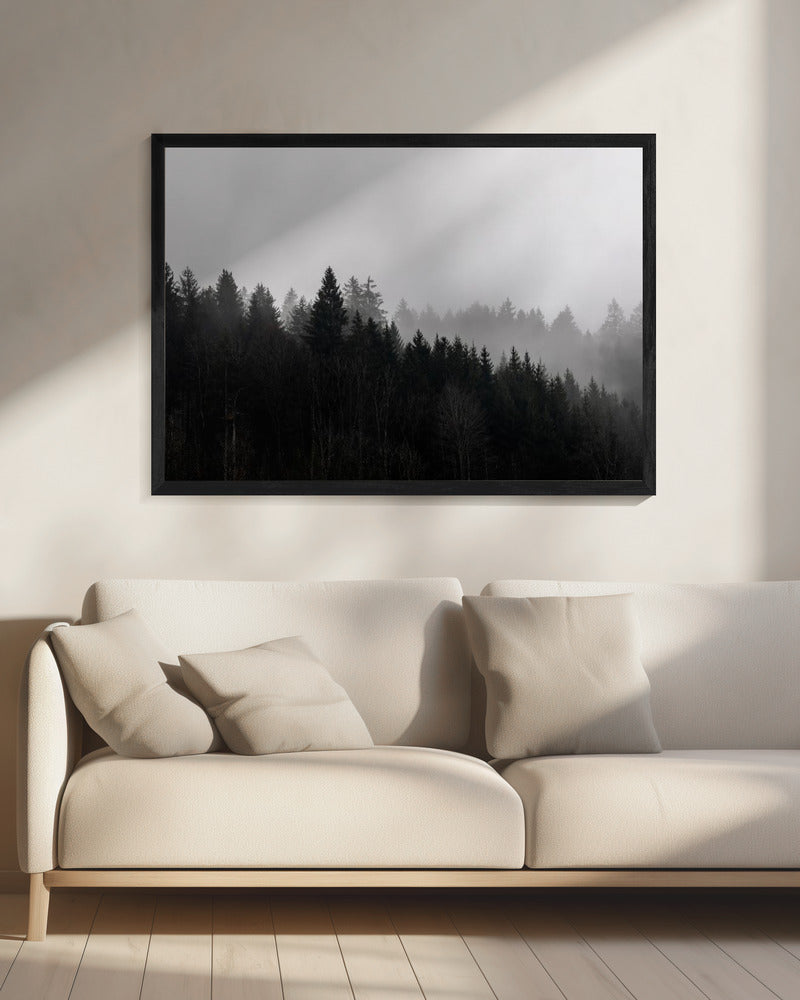 Mistige bossen 7 | Canvas