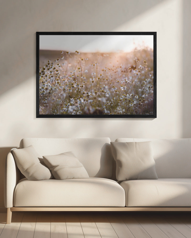 Summer Morning 7 | Canvas