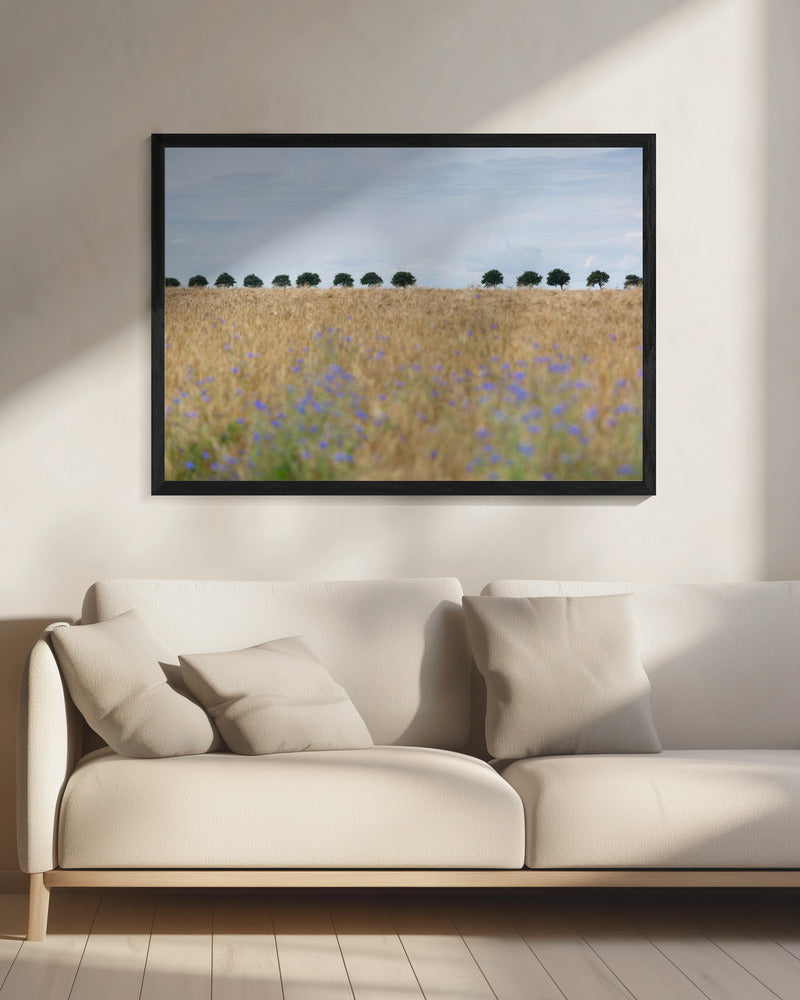 Nordic Moments 4 | Canvas