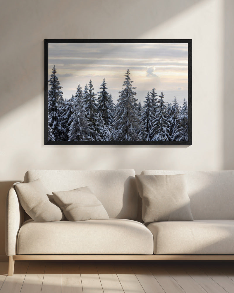 Besneeuwde bomen 8 | Canvas