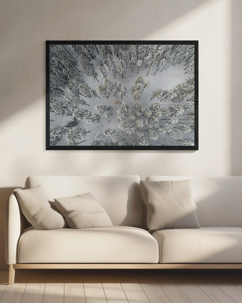 Besneeuwde bomen 3 | Canvas