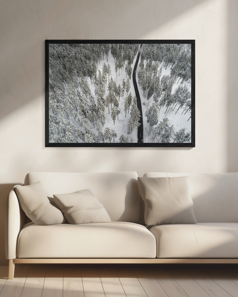 Besneeuwde bomen 5 | Canvas