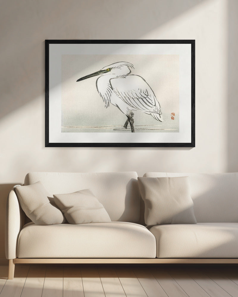 Sneeuwreiger | Canvas