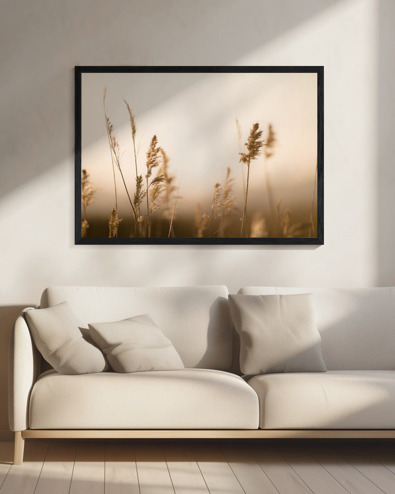 Marsh Grass No.2 | Canvas