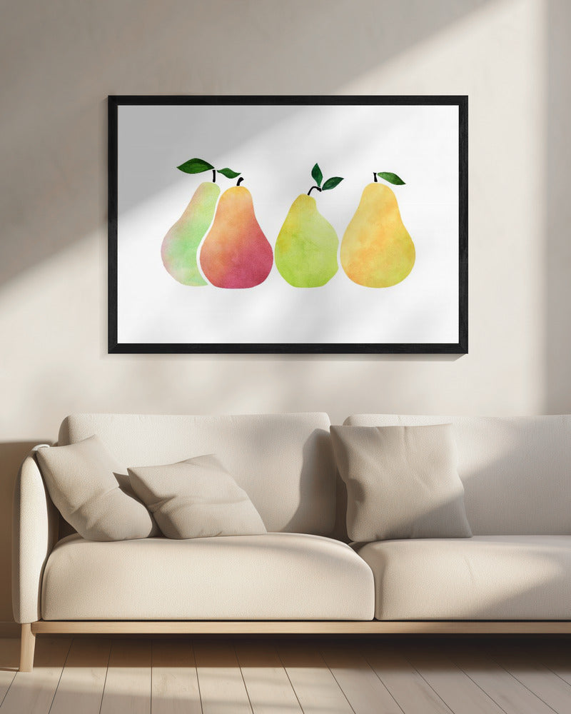 Peren | Canvas