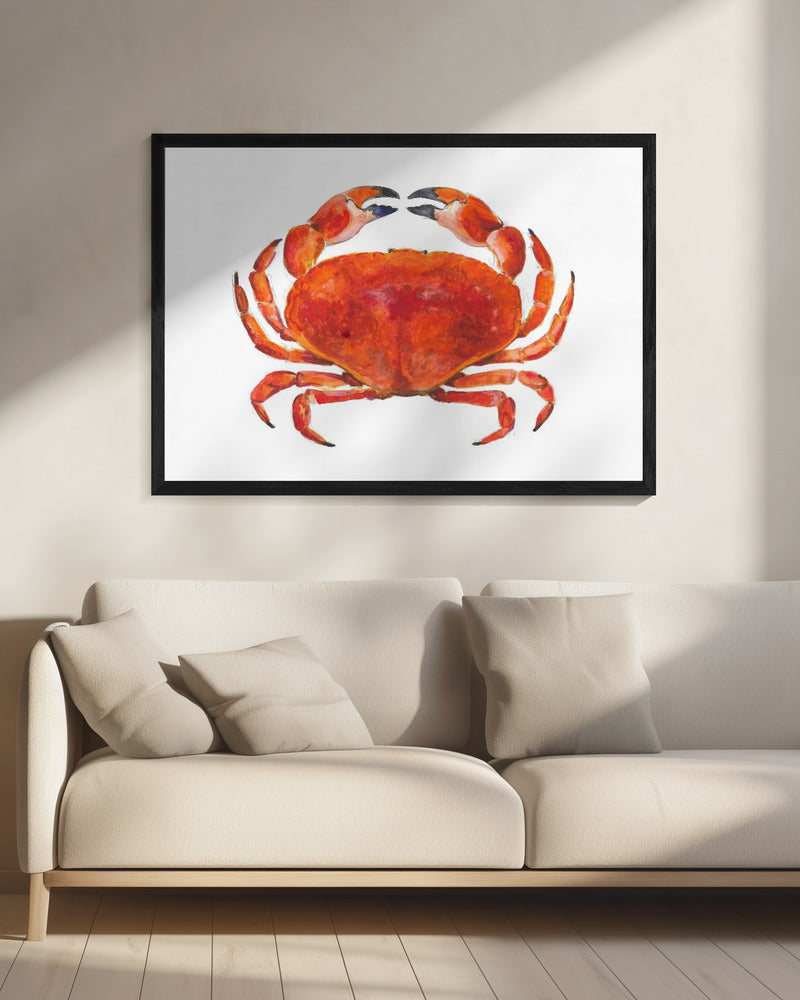 Realistic Red Crab | Canvas