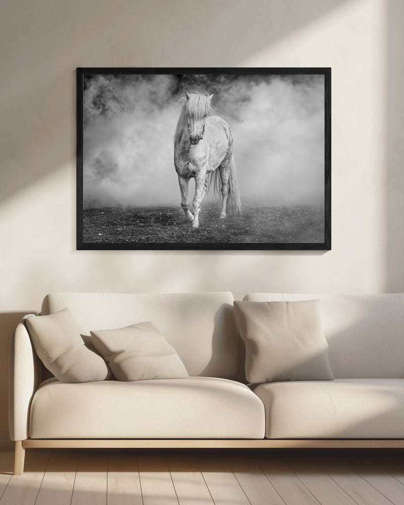 En er kwam een wit paard | Canvas