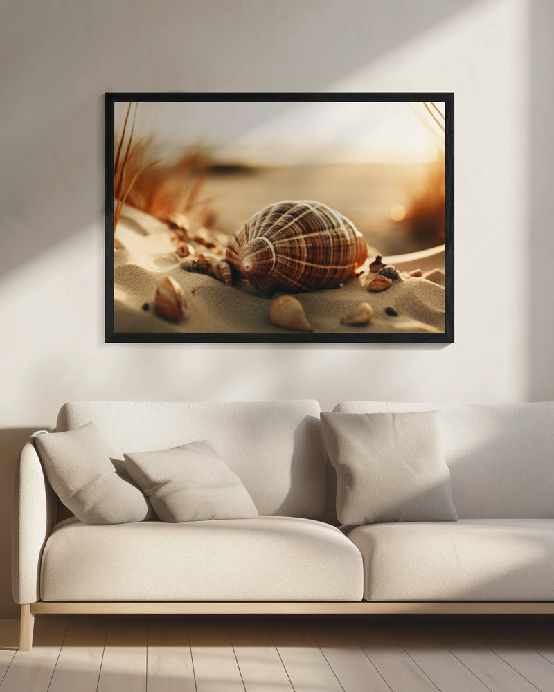 De stille schelpen van duinen | Canvas
