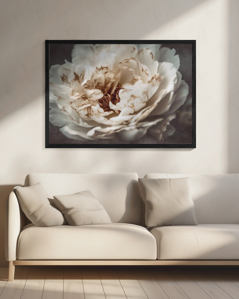 Bloemblaadjes van Sereniteit | Canvas