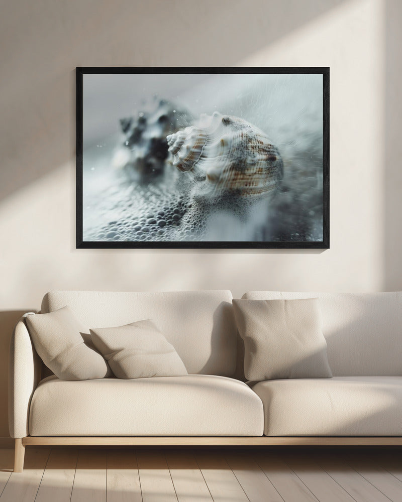 Schelpen in de mist van de oceaan | Canvas