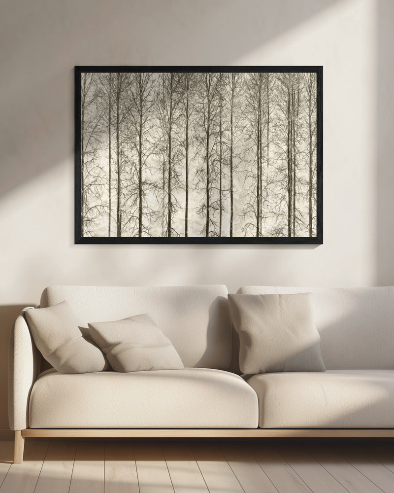 Espen | Canvas