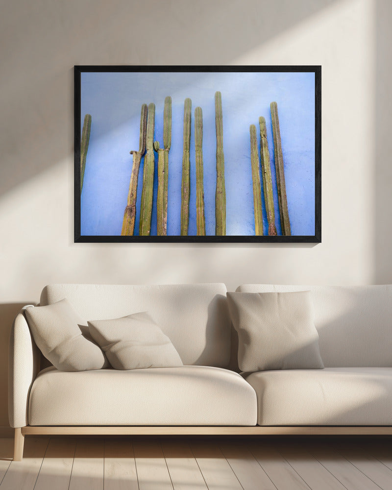 Hoge cactussen op blauw | Reizen in Oaxaca, Mexico | Canvas