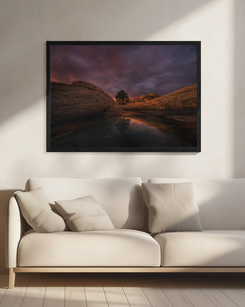 Ochtendlicht | Canvas