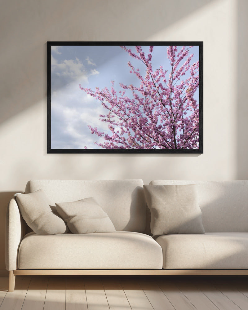 Kleurrijke Lente 12 | Canvas