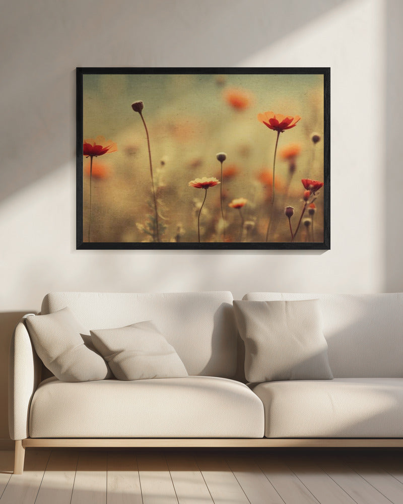 Fluisterende klaprozen | Canvas