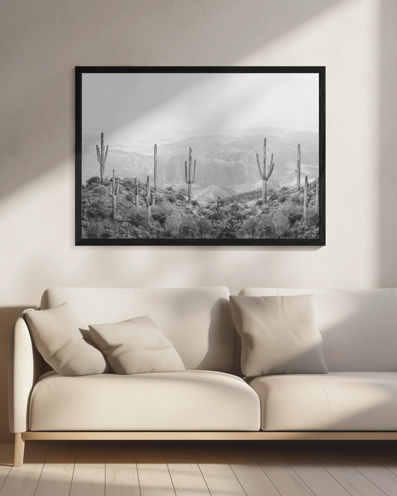 Westerse Cactus | Canvas