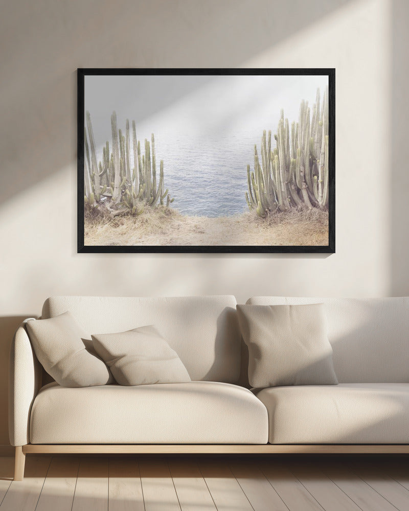 Oceaancactus | Canvas
