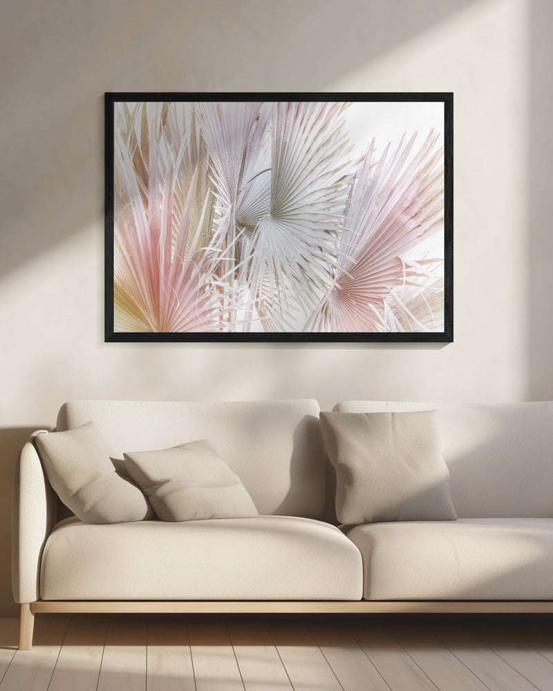 Palma | Canvas