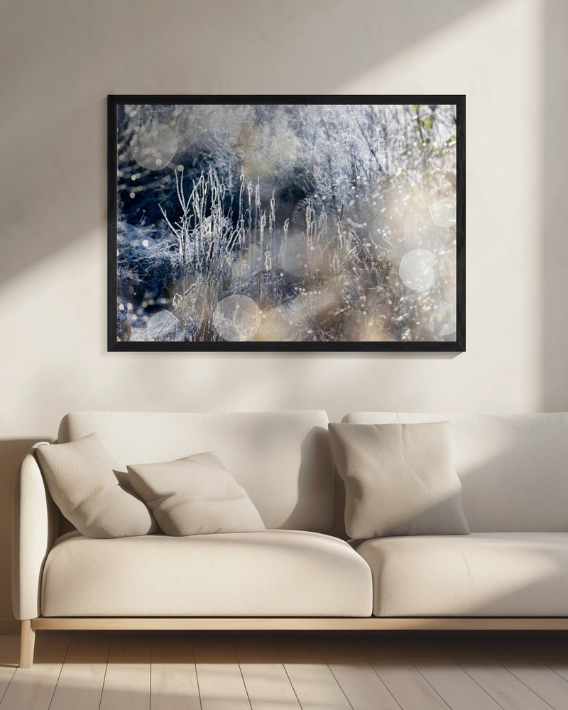 Een winterochtend 3 | Canvas