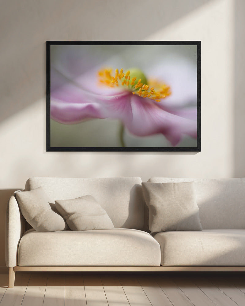 Dromerigheid | Canvas